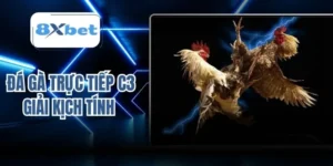 Đá gà trực tiếp C3